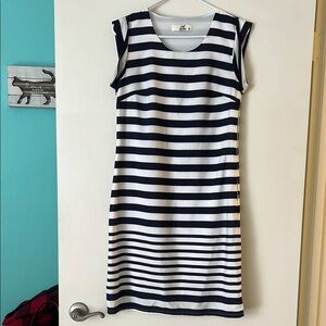 Navy and White Striped Dress